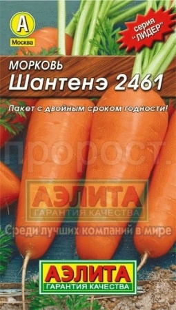 Морковь Шантенэ 2461 2г