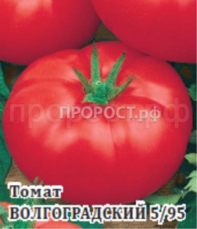 Томат Волгоградский 5/95 5 г