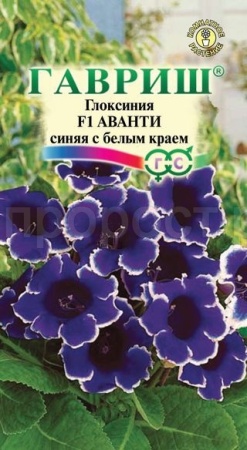 Глоксиния Аванти синяя с белым краем F1 4шт