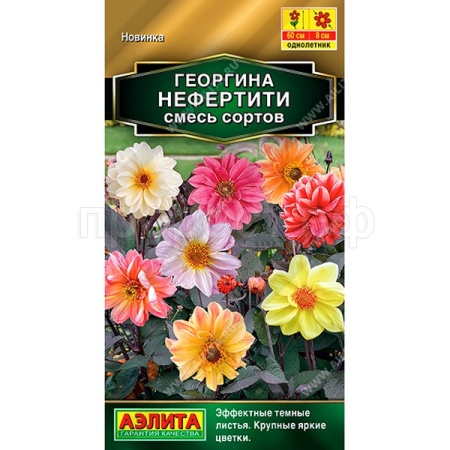 Георгина Нифертити смесь 10шт