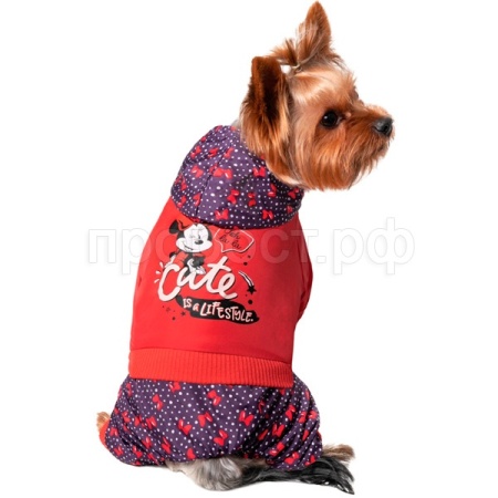 Комбинезон-дождевик демисезонный Disney Minnie Cute 30см М/12251216/Триол