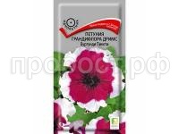 Петуния грандифлора Дримс Бургунди Пикоти 15 шт Петуния грандифлора Дримс Бургунди Пикоти 15 шт