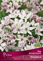 luk_decor_hameleon_kaper luk_decor_hameleon_kaper