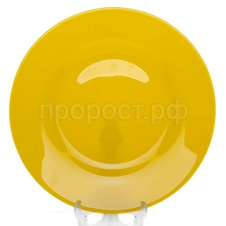 Тарелка столовая БАЛИ 260мм желтый/10328SLBD57 