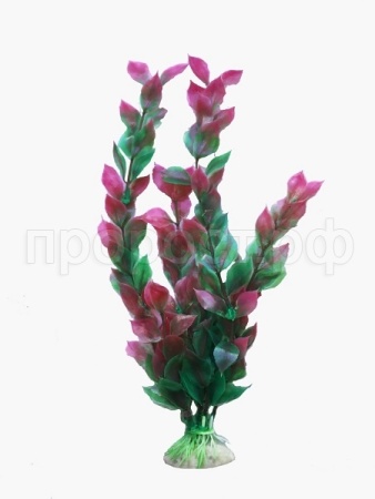 Растение пластмассовое 46см Гигрофила красно-зеленая/Р3202