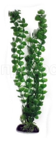 Растение пластмассовое 46см Лисимахия зеленая/Р3684