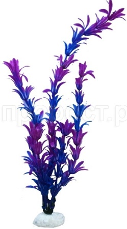 Растение пластмассовое 34см Ротала сине-фиолетовая/Р4131