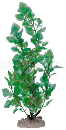 Растение пластмассовое 46см Микрантемум зеленый/Р3950