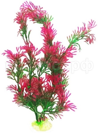 Растение пластмассовое 34см Кабомба красно-зеленая/Р3356