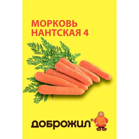 Морковь Нантская 4 2г
