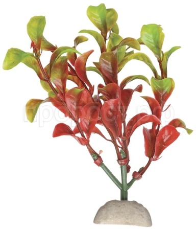 Растение пластмассовое 34см Лисимахия красно-зеленая/Р3660