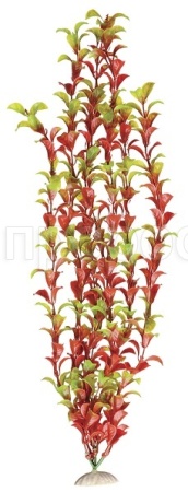 Растение пластмассовое 19см Эгерия красно-зеленая/Р4292