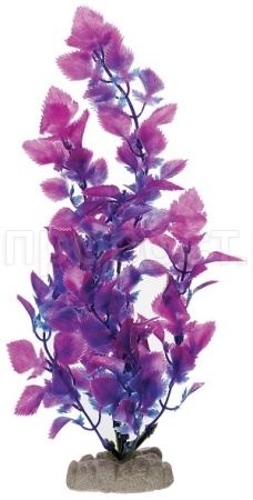 Растение пластмассовое 55см Микрантемум сине-фиолетовый/Р4018