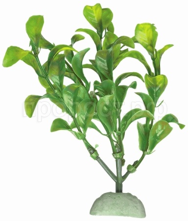 Растение пластмассовое 34см Лисимахия зеленая/Р3653