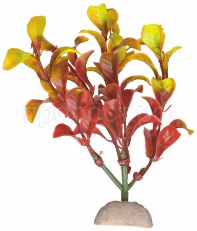 Растение пластмассовое 30см Лисимахия красно-желтая/Р3639.