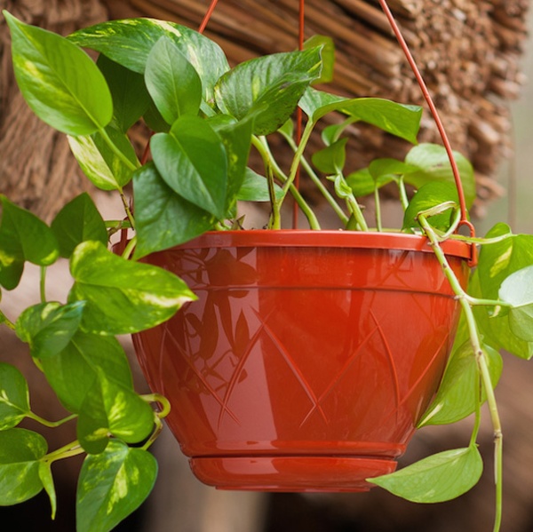 Подвесное Лилия 2,5л терракот